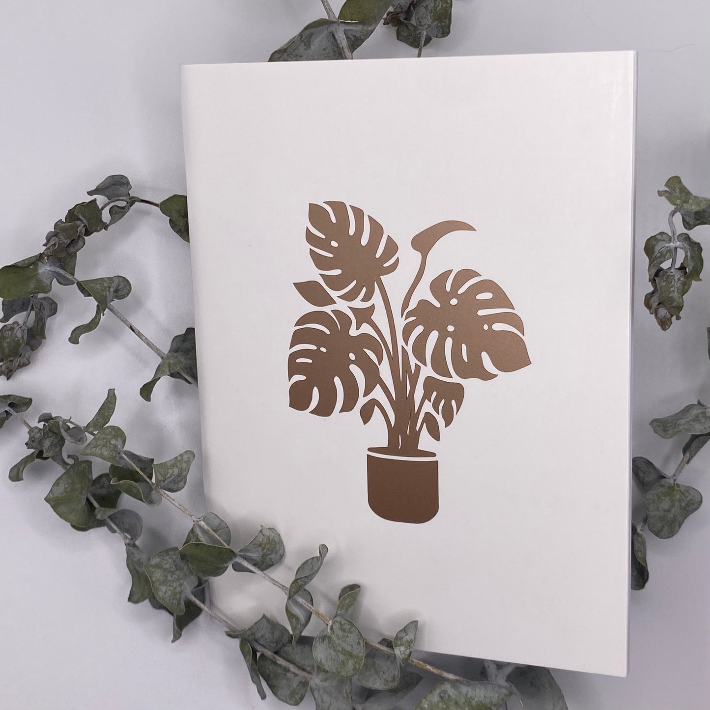 Monstera notebook